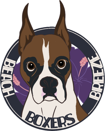 Beach Breeze Boxers Logo